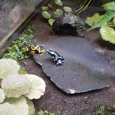 misato8677's profile picture. 30↑　アニメ、漫画大好き。 頭文字Ｄ、ツキウタ、血塊戦線などなどです。

ゲーム実況2BRO、三人称推し

無言フォロー、最近愚痴が多めですいませんm(._.)m