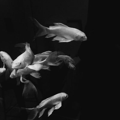 _0kiiii's profile picture. 