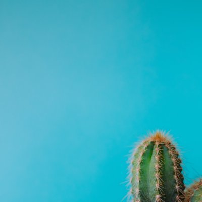 RLYp_'s profile picture. 