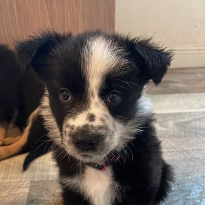 jendocherty1's profile picture. 