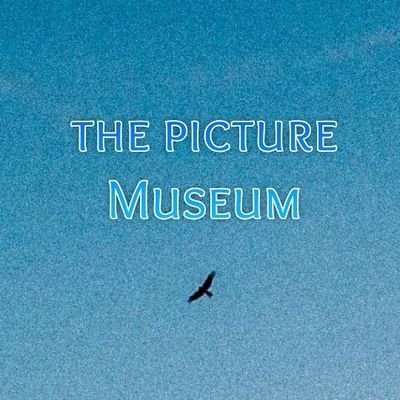 thepicmuseum Profile Picture