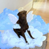 Shotgun-Charlie (GG) (@lgierhake) 's Twitter Profile
