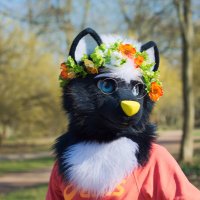Inuh (@paragoninuh) 's Twitter Profile Photo Inuh (@paragoninuh) 's Twitter Profile Photo