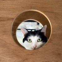 巻田勇輔 / Yusuke Makita(KASSEN) (@makitayusuke) 's Twitter Profile