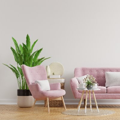 skaik_amera's profile picture. مصممة ديكور داخلي | مختصة بالديكور والتصميم الداخلي
_ أؤمن بضرورة إنشاء أفضل خدمة لعملائنا وشركائنا ومجتمعنا
للاستفسارات على الخاص 📩