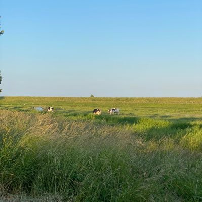 Vermiste mensen in #nederland en omstreken. Volg voor meer info 👏🏻