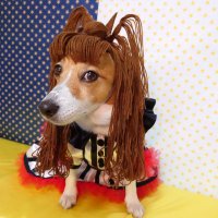 mitemite_sachiko (@mitemitesachico) Twitter profile photo