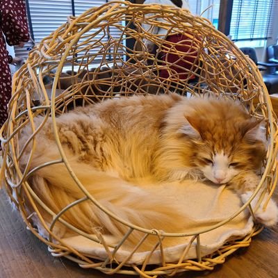 1024_chap10's profile picture. クラクラ大好きな社会人です。
クラクラオンライン伝説（禿）所属
th18.17.15.14.11.10.9.7垢あり