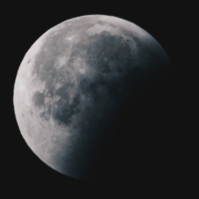 syracnaj's profile picture. 