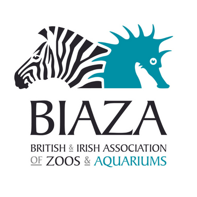 The British and Irish Association of Zoos and Aquariums.

Championing environmental conservation, education, research, and animal welfare.