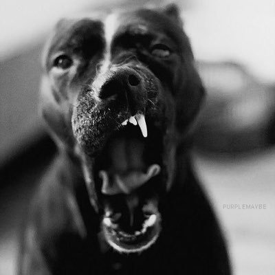 vibezchulo2's profile picture. Never stop