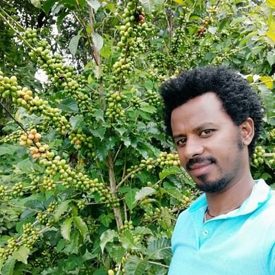 Peace for the 🌍
My areas of expertise include #biodiversity conservation, #coffee management, #politicalecolgy, and #ruraldevelopment, #Ethiopia!