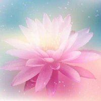 莲清 (@huh2111) 's Twitter Profile Photo 莲清 (@huh2111) 's Twitter Profile Photo