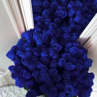 خَـالِـد💙' (@k_7371) Twitter profile photo