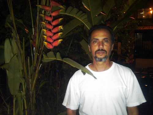 Logistico's profile picture. El Vino, Los Perros y Las Orquideas son mis preferidas.