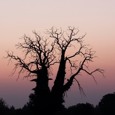 nerolen11's profile picture. A l' Ouest , définitivement .
 Vendéen , curieux de nature et autodidacte .
Music , jazz , funk ...
#Legalisation