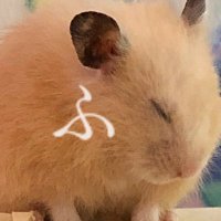 ふわふわすふれ◌たらも◌にこみ◌ (@hu_hu_suhure) 's Twitter Profile