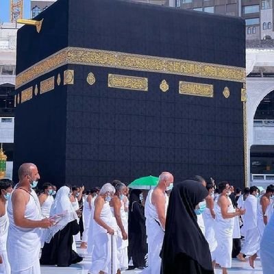 tariqherbal's profile picture. CPO