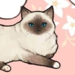 금강さんのプロフィール画像