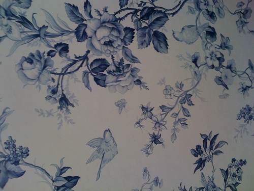 ccconran's profile picture. Fact-based American/Romantic bringing people and nations together