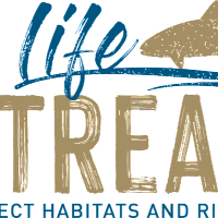 Life Streams(@life_streams6) 's Twitter Profile Photo