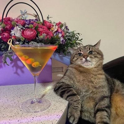 _alyaahh's profile picture. omg yeah? halyaahhh.