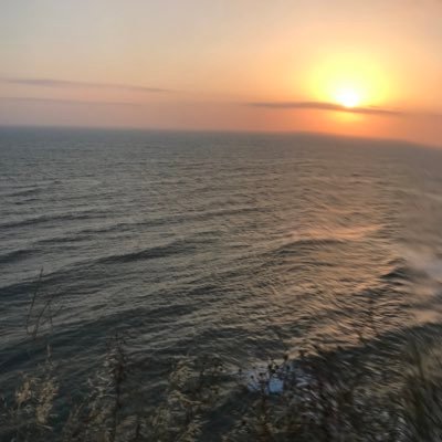 alisaz46000's profile picture. 