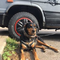 Country Vanlife UK (@countryvanlife) 's Twitter Profile Photo Country Vanlife UK (@countryvanlife) 's Twitter Profile Photo