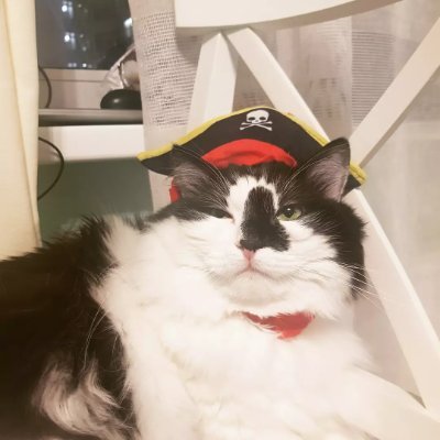 roll_dutch's profile picture. 