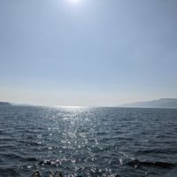 CRoss 🌹🌈 (@scottishgranny4) 's Twitter Profile