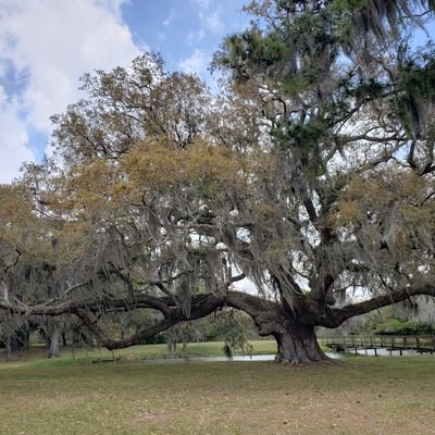 godschildrch's profile picture. 