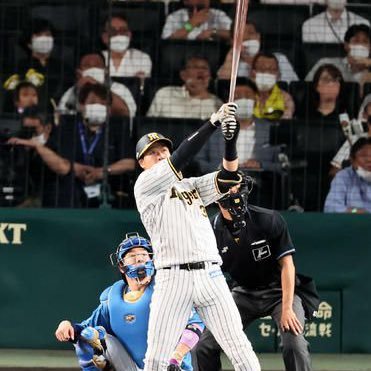 20××年 阪神ドラフト1位 内野手 右投右打 170cm 65kg 出身地：兵庫県   年俸：450万円   オールスターファン投票：136位   西宮を愛し 西宮に愛された 虎ファン🐯