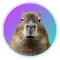 I love capybara's So much!

Follow capybarry's Instagram @capybarry61