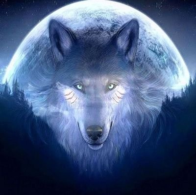KellyBr04781654's profile picture. follow me on inst @kathernwolf_