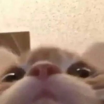 real_codekunst's profile picture. 