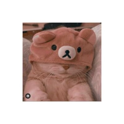 dedenurcahya20's profile picture. optimis