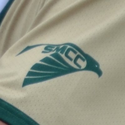SMCC Falcon Baseball Profile