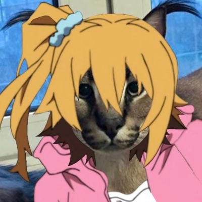 AA87839916's profile picture. 