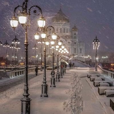 IrGenovie's profile picture. L'intelligence n'a rien avoir avec le niveau d'études on peut avoir beaucoup de diplômes et être un parfait idiot