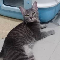 ติดซีรีย์ที่พระเอกคือหลัว (@sosedrip) 's Twitter Profile Photo ติดซีรีย์ที่พระเอกคือหลัว (@sosedrip) 's Twitter Profile Photo