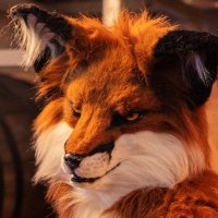 Arcas Fox(@ArcasFox) 's Twitter Profile Photo