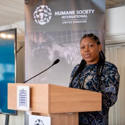 NomaDube's profile picture. Climate Change Programme Officer | Founder @ZimbabweElepha1 #AnimalWelfareAdvocate #EndWildlifeTrade #ZimbabweElephants #Biodiversity #Environment #AnimalRights