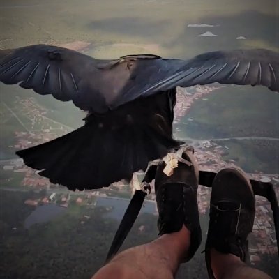Crazyvestor's profile picture. Blockchain Security Researcher