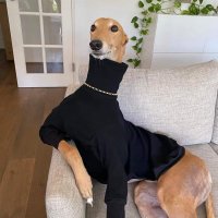 Orvitron (@orvitron) 's Twitter Profile
