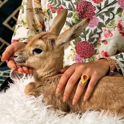 Vip_ghazal93's profile picture. من زود مـآهي فآتنهہ،،،، مآهي تشآبه آحد آلشـآيب آن مرت عليه يقول؟يخرب بيتهآ ( للمساحات فقط )