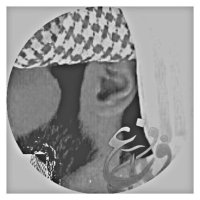 فــزاع (@__________zz77) 's Twitter Profile Photo فــزاع (@__________zz77) 's Twitter Profile Photo