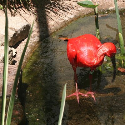 IApilote's profile picture. 