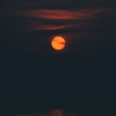 avii268's profile picture. 