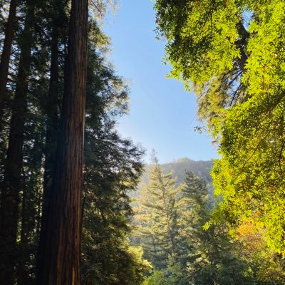 Process Chemist, PhD @UCSB, @WHU_1893 alumni, all views my own. Value life & family. Organic/Glyco Chemistry Bio and Biomimetic Catalysis,Nature Lover🌎.