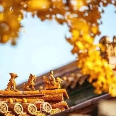 cvds__'s profile picture. 